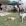people and pets outside on grass with an umbrella